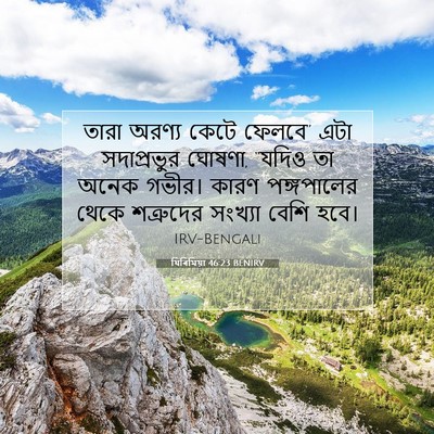 Picture 07 - যিৰিমিয়া 46:23 BENIRV - তারা অরণ্য কেটে - Bible Verse Picture