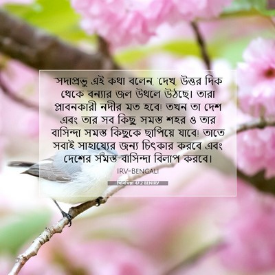 Picture 07 - যিৰিমিয়া 47:2 BENIRV - “সদাপ্রভু এই কথা - Bible Verse Picture