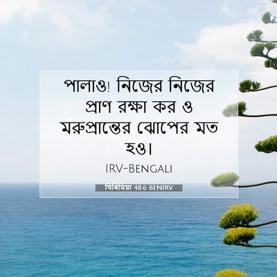 Picture 07 - যিৰিমিয়া 48:6 BENIRV - পালাও! নিজের নিজের - Bible Verse Picture