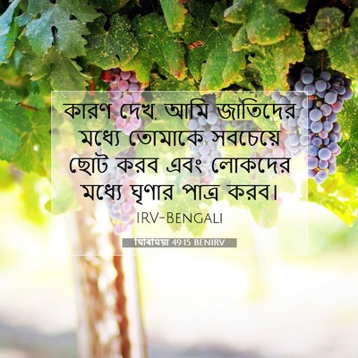 Picture 07 - যিৰিমিয়া 49:15 BENIRV - কারণ দেখ, আমি - Bible Verse Picture
