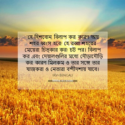 Picture 07 - যিৰিমিয়া 49:3 BENIRV - “হে হিশবোন, বিলাপ - Bible Verse Picture