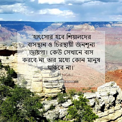 Picture 07 - যিৰিমিয়া 49:33 BENIRV - “হাৎসোর হবে - Bible Verse Picture