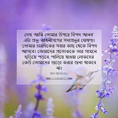 Picture 07 - যিৰিমিয়া 49:5 BENIRV - দেখ, আমি তোমার উপরে - Bible Verse Picture