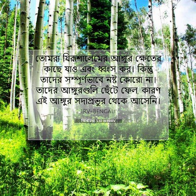 Picture 07 - যিৰিমিয়া 5:10 BENIRV - তোমরা যিরূশালেমের - Bible Verse Picture