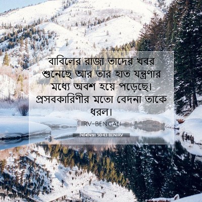 Picture 07 - যিৰিমিয়া 50:43 BENIRV - বাবিলের রাজা - Bible Verse Picture