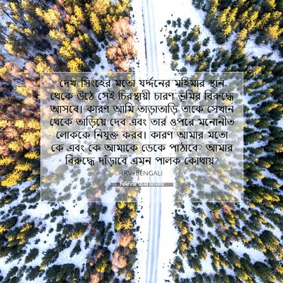 Picture 07 - যিৰিমিয়া 50:44 BENIRV - দেখ, সিংহের মতো - Bible Verse Picture