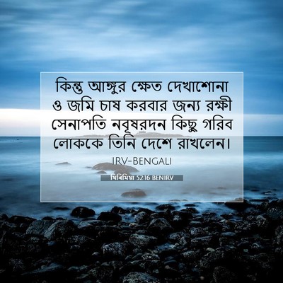 Picture 07 - যিৰিমিয়া 52:16 BENIRV - কিন্তু আঙ্গুর - Bible Verse Picture
