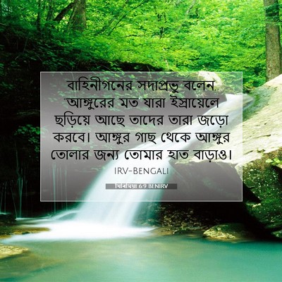 Picture 07 - যিৰিমিয়া 6:9 BENIRV - বাহিনীগনের - Bible Verse Picture