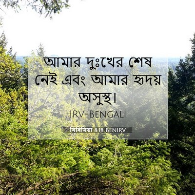 Picture 07 - যিৰিমিয়া 8:18 BENIRV - আমার দুঃখের শেষ - Bible Verse Picture