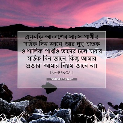 Picture 07 - যিৰিমিয়া 8:7 BENIRV - এমনকি আকাশের সারস - Bible Verse Picture