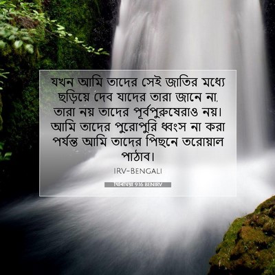 Picture 07 - যিৰিমিয়া 9:16 BENIRV - যখন আমি তাদের সেই - Bible Verse Picture