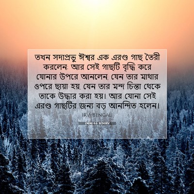 Picture 07 - যোনা 4:6 BENIRV - তখন সদাপ্রভু - Bible Verse Picture
