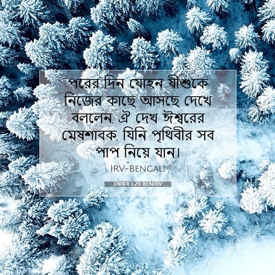 Picture 07 - যোহন 1:29 BENIRV - পরের দিন যোহন - Bible Verse Picture