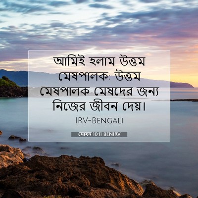 Picture 07 - যোহন 10:11 BENIRV - আমিই হলাম উত্তম - Bible Verse Picture