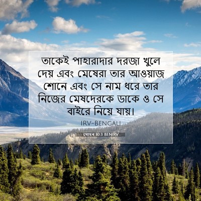 Picture 07 - যোহন 10:3 BENIRV - তাকেই পাহারাদার - Bible Verse Picture