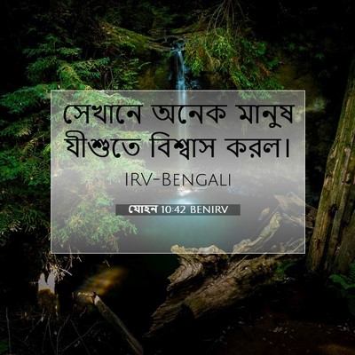 Picture 07 - যোহন 10:42 BENIRV - সেখানে অনেক মানুষ - Bible Verse Picture