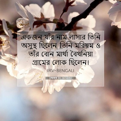 Picture 07 - যোহন 11:1 BENIRV - একজন যাঁর নাম - Bible Verse Picture