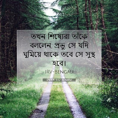 Picture 07 - যোহন 11:12 BENIRV - তখন শিষ্যেরা - Bible Verse Picture