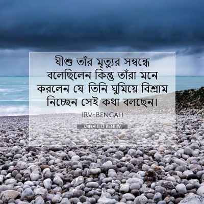 Picture 07 - যোহন 11:13 BENIRV - যীশু তাঁর মৃত্যুর - Bible Verse Picture