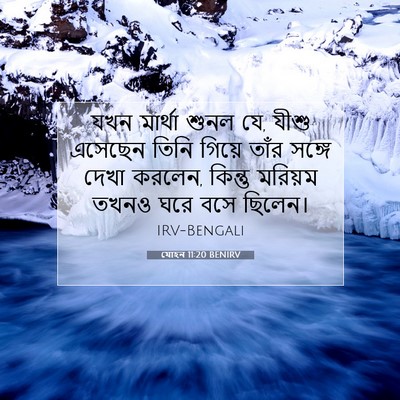 Picture 07 - যোহন 11:20 BENIRV - যখন মার্থা শুনল যে, - Bible Verse Picture