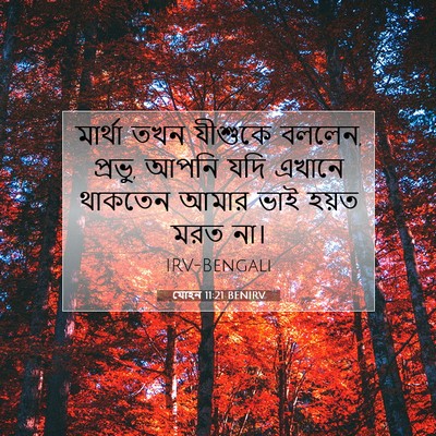 Picture 07 - যোহন 11:21 BENIRV - মার্থা তখন যীশুকে - Bible Verse Picture