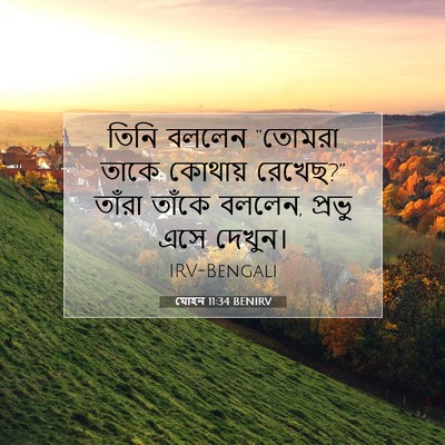 Picture 07 - যোহন 11:34 BENIRV - তিনি বললেন “তোমরা - Bible Verse Picture