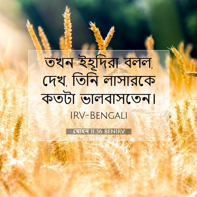 Picture 07 - যোহন 11:36 BENIRV - তখন ইহূদিরা বলল, - Bible Verse Picture