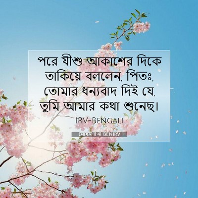 Picture 07 - যোহন 11:41 BENIRV - পরে যীশু আকাশের - Bible Verse Picture