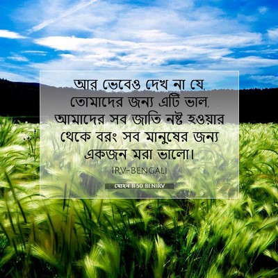 Picture 07 - যোহন 11:50 BENIRV - আর ভেবেও দেখ না যে, - Bible Verse Picture