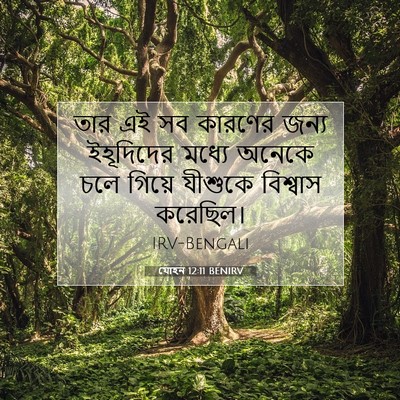 Picture 07 - যোহন 12:11 BENIRV - তার এই সব কারণের - Bible Verse Picture