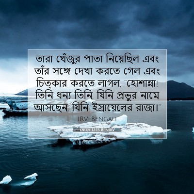 Picture 07 - যোহন 12:13 BENIRV - তারা খেঁজুর পাতা - Bible Verse Picture