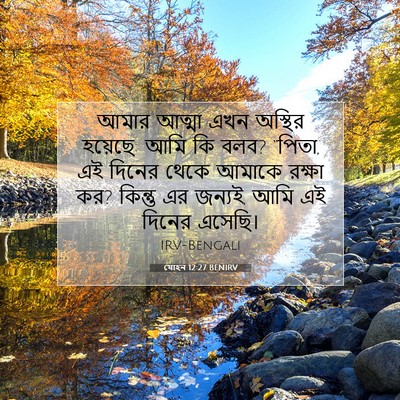 Picture 07 - যোহন 12:27 BENIRV - আমার আত্মা এখন - Bible Verse Picture