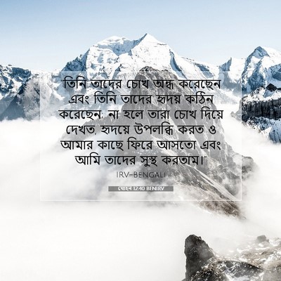 Picture 07 - যোহন 12:40 BENIRV - “তিনি তাদের চোখ - Bible Verse Picture