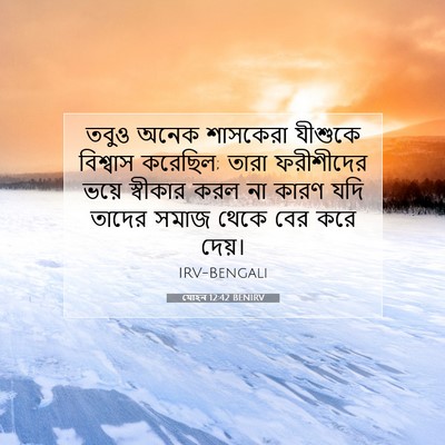 Picture 07 - যোহন 12:42 BENIRV - তবুও অনেক শাসকেরা - Bible Verse Picture