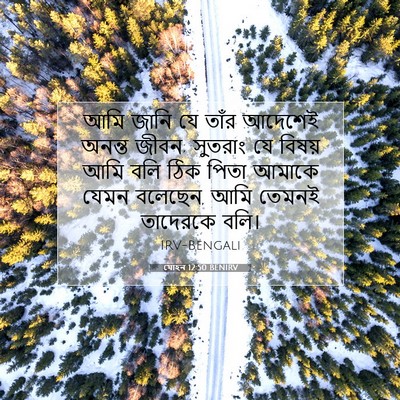Picture 07 - যোহন 12:50 BENIRV - আমি জানি যে তাঁর - Bible Verse Picture