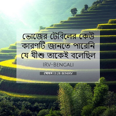 Picture 07 - যোহন 13:28 BENIRV - ভোজের টেবিলের কেউ - Bible Verse Picture