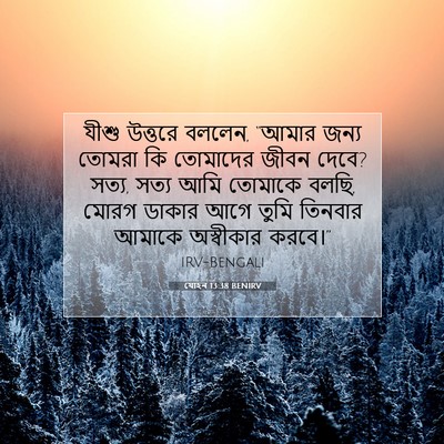 Picture 07 - যোহন 13:38 BENIRV - যীশু উত্তরে বললেন, - Bible Verse Picture
