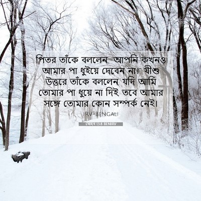 Picture 07 - যোহন 13:8 BENIRV - পিতর তাঁকে বললেন, - Bible Verse Picture