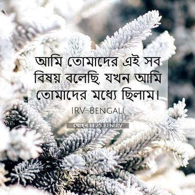 Picture 07 - যোহন 14:25 BENIRV - আমি তোমাদের এই সব - Bible Verse Picture