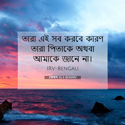 Picture 07 - যোহন 16:3 BENIRV - তারা এই সব করবে - Bible Verse Picture
