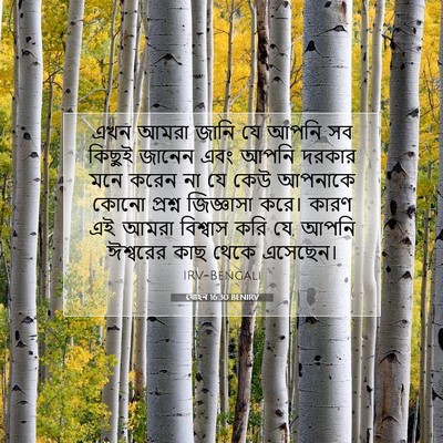 Picture 07 - যোহন 16:30 BENIRV - এখন আমরা জানি যে - Bible Verse Picture