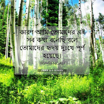 Picture 07 - যোহন 16:6 BENIRV - কারণ আমি তোমাদের - Bible Verse Picture