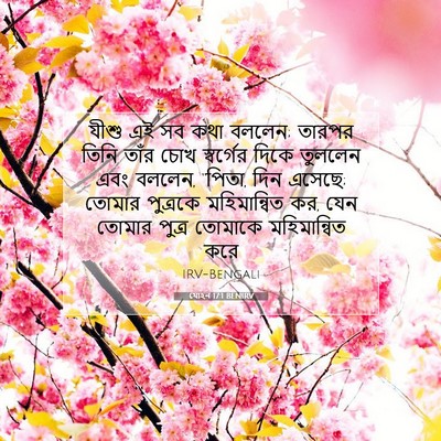 Picture 07 - যোহন 17:1 BENIRV - যীশু এই সব কথা - Bible Verse Picture