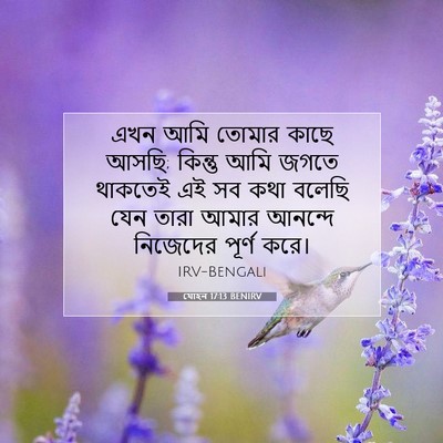 Picture 07 - যোহন 17:13 BENIRV - এখন আমি তোমার কাছে - Bible Verse Picture