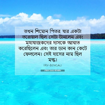 Picture 07 - যোহন 18:10 BENIRV - তখন শিমোন পিতর, যার - Bible Verse Picture