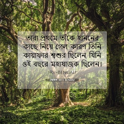 Picture 07 - যোহন 18:13 BENIRV - তারা প্রথমে তাঁকে - Bible Verse Picture