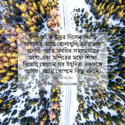 Picture 07 - যোহন 18:20 BENIRV - যীশু তাঁকে উত্তর - Bible Verse Picture