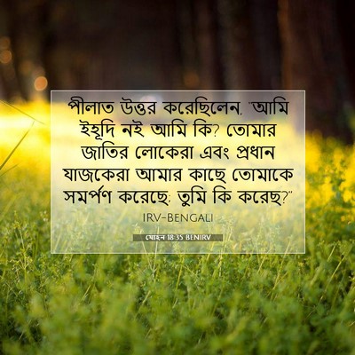Picture 07 - যোহন 18:35 BENIRV - পীলাত উত্তর - Bible Verse Picture