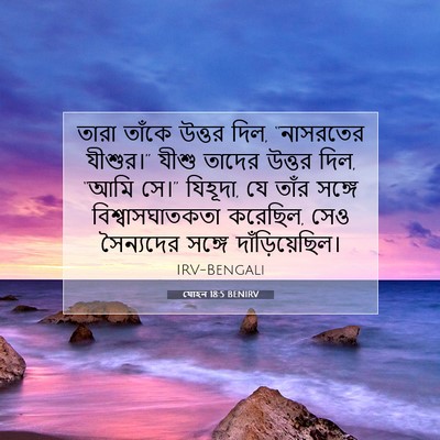 Picture 07 - যোহন 18:5 BENIRV - তারা তাঁকে উত্তর - Bible Verse Picture