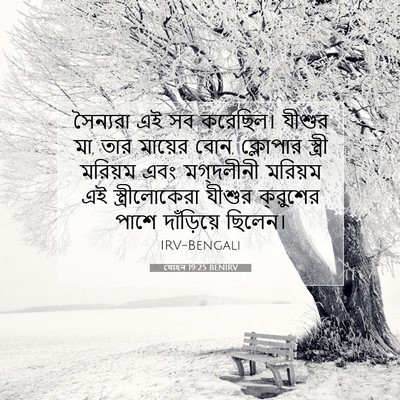 Picture 07 - যোহন 19:25 BENIRV - সৈন্যরা এই সব - Bible Verse Picture